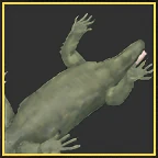 Baby Lizard