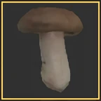 Brown Mushroom