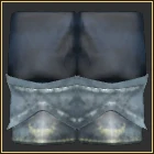 Frostbound Regalia Leggings