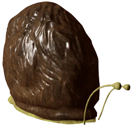 Giant Snail