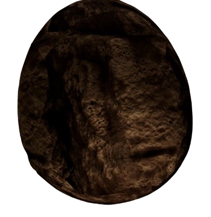 Giant Snail Egg