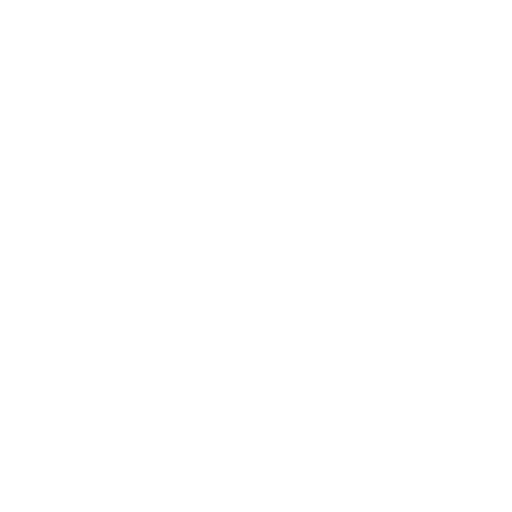 Hammer
