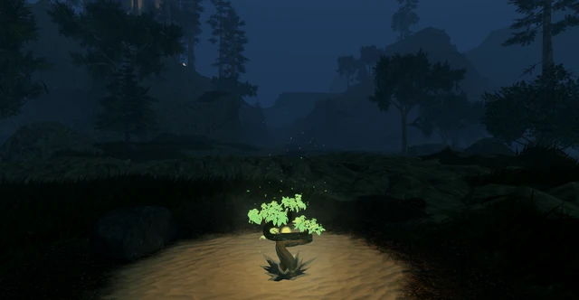 Hollow's Outback