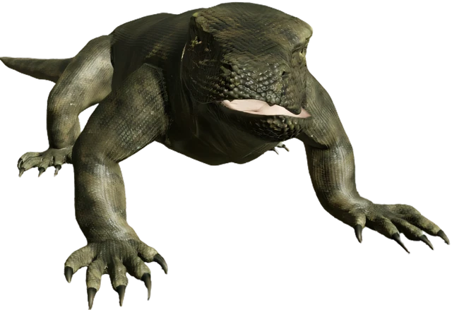 Lizard