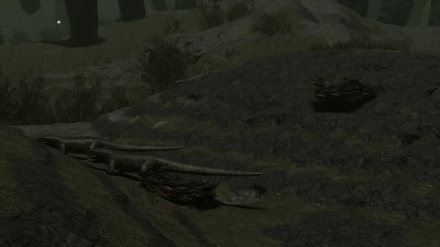 Lizard Nests
