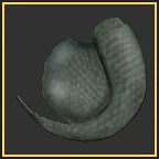 Lizard Tail