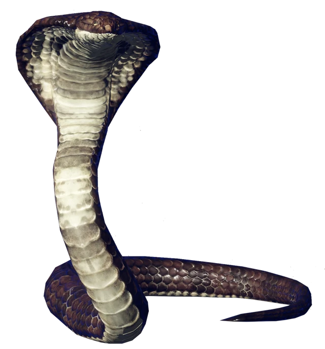 Mausoleum Snake (1)