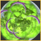 Onion Salad