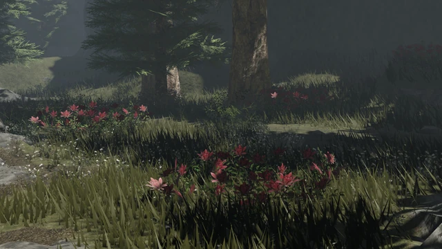 OpheliaHInsurgentCamp