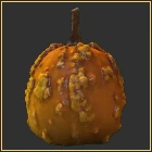 Pumpkin Head 7