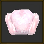 Raw Chicken