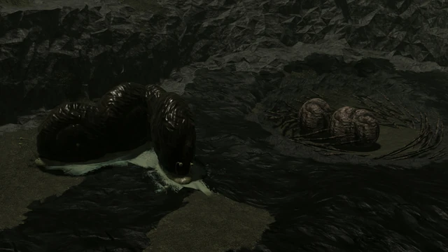 Snail Nests