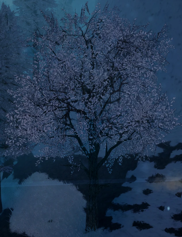 Snow Elm Tree
