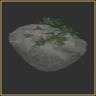 Stone Blalis Head