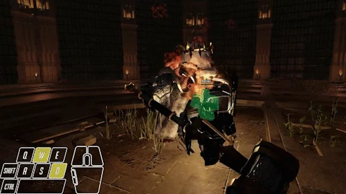 Veiled paladin double parrying