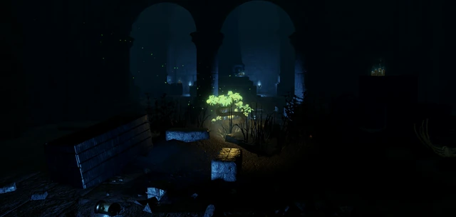 Winterhold Chambers
